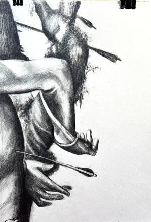 anatomia di un vaffanculo